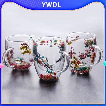 2pcs Double Wall Glass Cup With Handle Heat Resistant